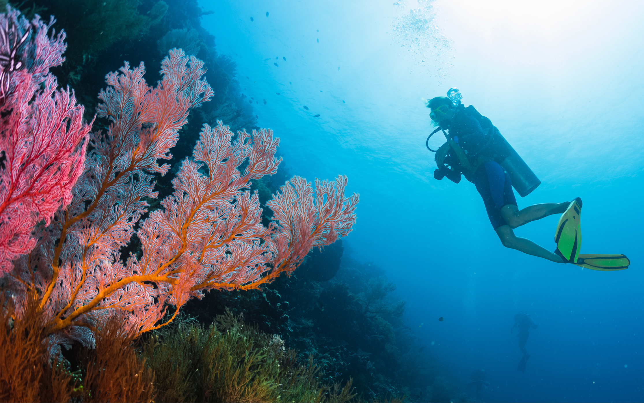 Luchar por nuestros sueños