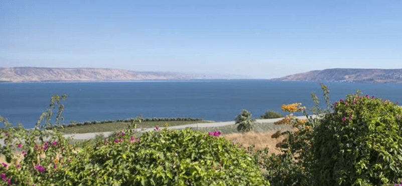 Un viaje para despertar