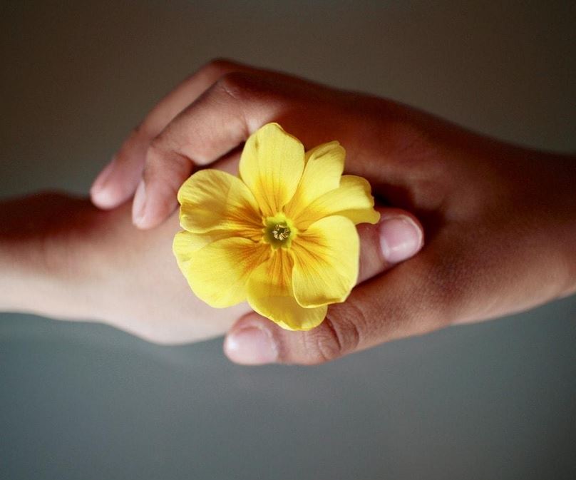 Estar conscientes para dirigir nuestra vida