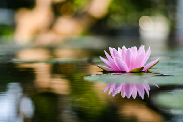 Como la constancia detiene el "CCC" en nuestra mente