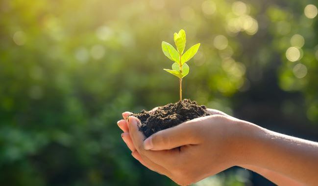 Lidiando con lo inesperado