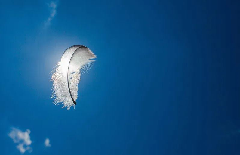 Comprender para dejar atrás